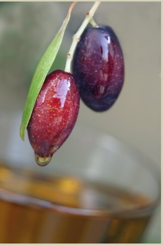 produits bio, épices d'orient