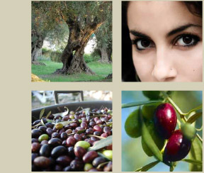 huile d'olive commerce équitable